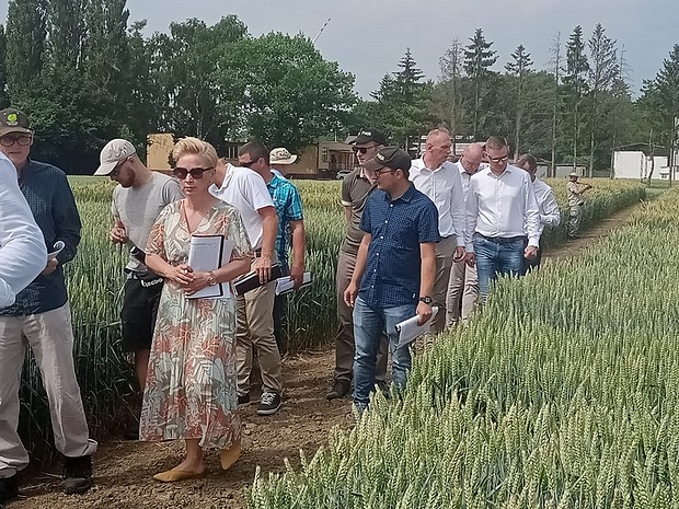 Na zdjęciu drugim Członkowie wojewódzkiego zespołu PDO oglądają poletka doświadczalne z pszenicą ozimą.